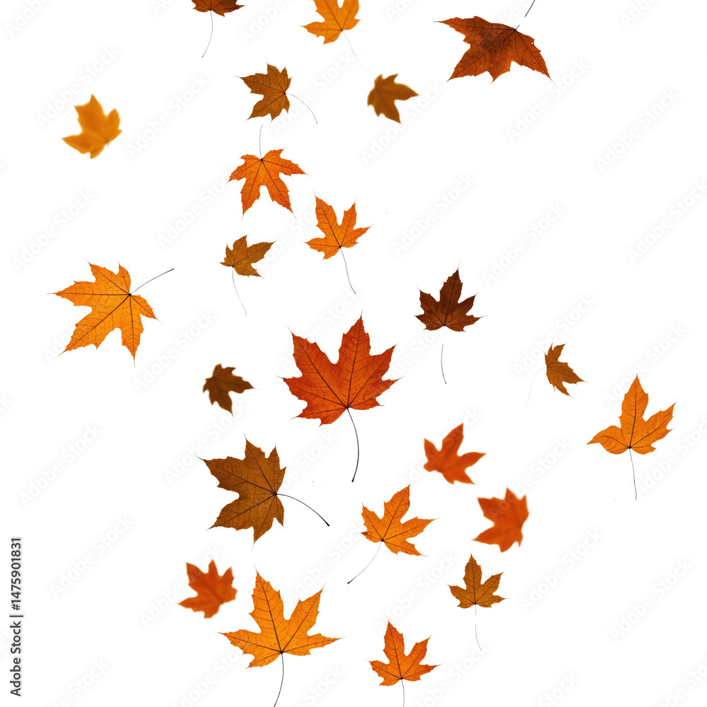 Autumn Leaves in Warm Tones on Beige Background Autumn Leaves in Warm Tones on Beige Background