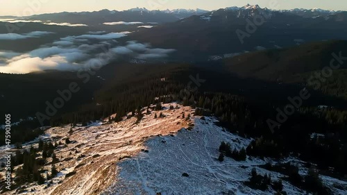 Snowy Mountains and Conifer Forest from Above