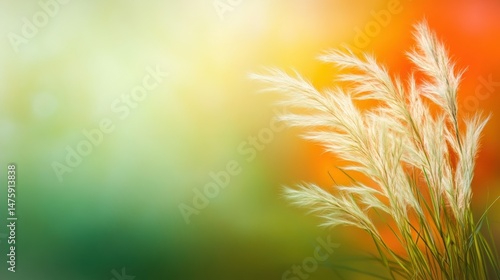 Obraz na płótnie Soft pampas grass stands tall against a colorful background, swaying lightly in the evening breeze during a serene sunset w salonie
