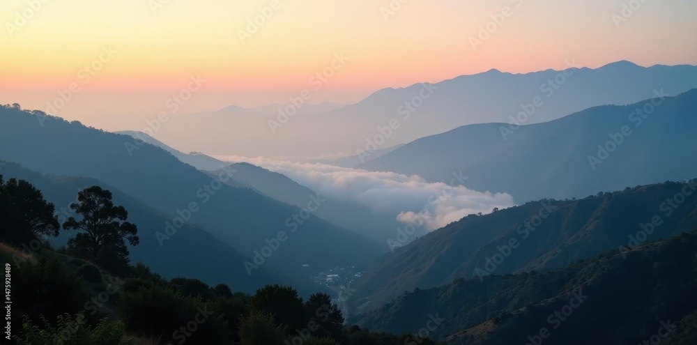 Fototapeta premium Dense fog shrouds LA hills at daybreak, soft light, panorama, landscape