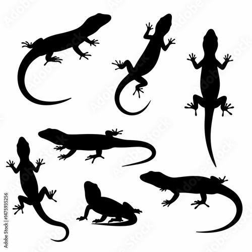 Lizard Silhouette Collection: A striking collection of lizard silhouettes in varying poses and angles, offering a diverse representation of this fascinating reptile species. 