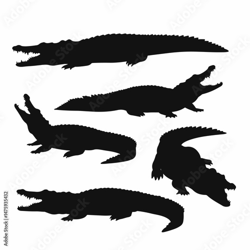Predator Silhouette: A collection of striking silhouettes showcasing the powerful form of these apex predators in various dynamic poses, emphasizing their predatory nature.