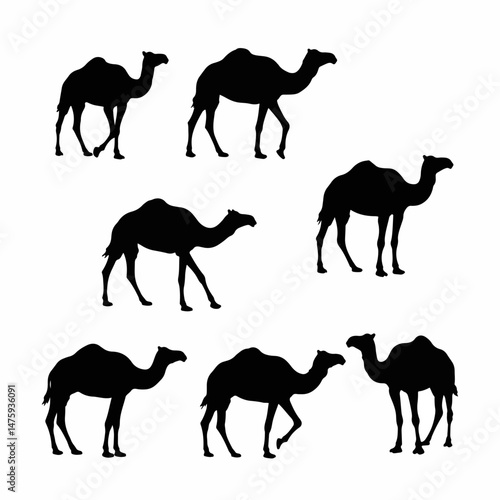 Silhouette of a Camel: A simple, clean, and artistic depiction of multiple camels, ideal for adding an element of the desert and travel. 