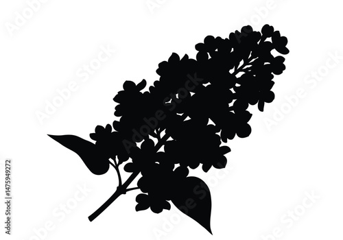 Lilac silhouette. This image shows a black and white design of a lilac flower branch, highlighting its delicate petals and botanical elegance. Vector clipart illustration design.