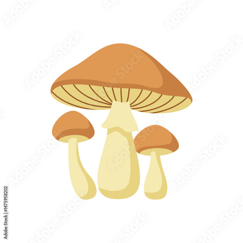 Simple Group of Brown and Beige Mushrooms Vector Illustration