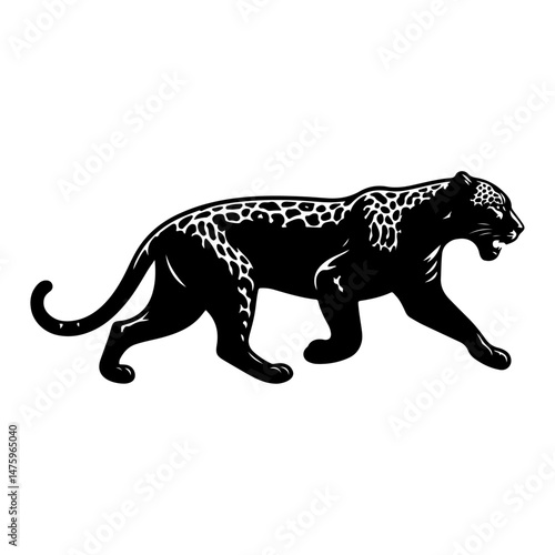 jaguar Panthera onca, silhouette vector file.