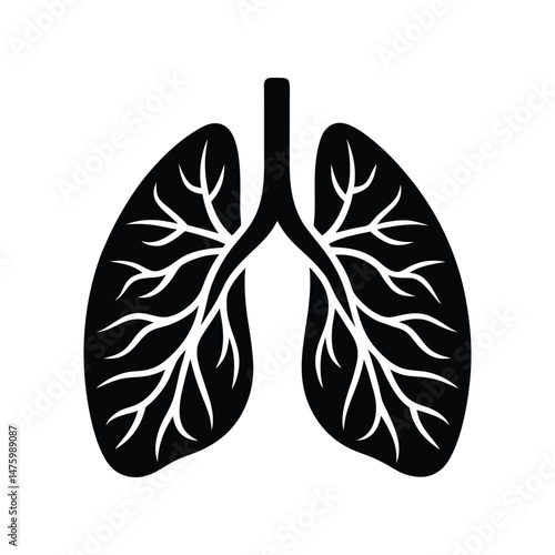 Human Lungs Respiratory System Anatomy - Black and White Illustration