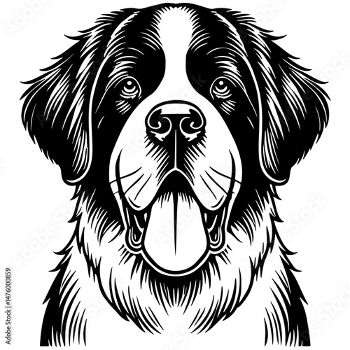 Saint Bernard Dog Illustration.