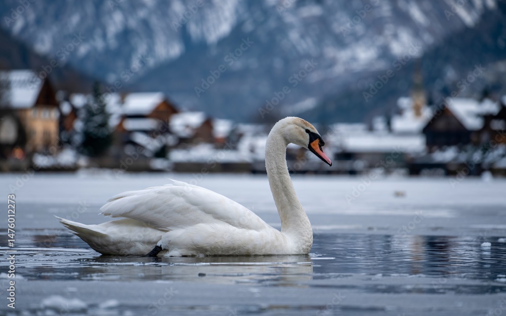 Fototapeta premium Winter Swan on Frozen Lake, Alpine Village