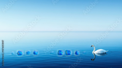 Obraz na płótnie Serene Swan on Blue Lake: A graceful swan floats peacefully upon a vast expanse of blue water, its elegant reflection mirrored in the calm surface, creating a sense of serenity and tranquility. w salonie