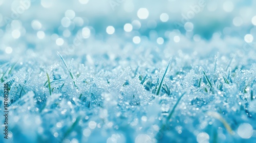 Obraz na płótnie Frozen Grass with Light Blur: The image depicts blades of grass delicately encased in a layer of frost, creating a serene, close-up of nature's icy artistry. w salonie