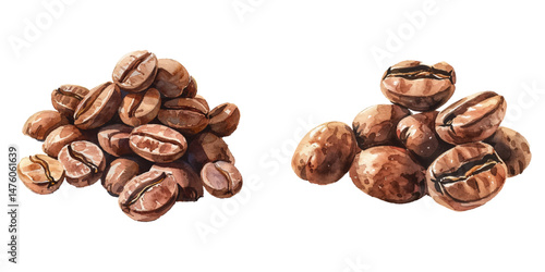 coffee beans watercolor vector illustration