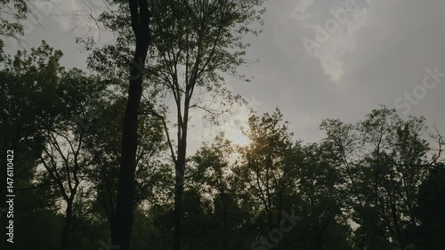 Short aerial shot of palm tree roundabout in Alameda Central