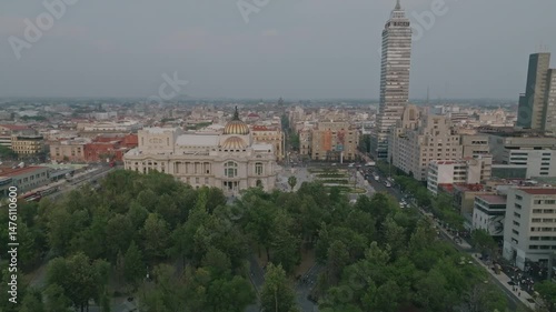 Palm-lined avenue seen from drone in Alameda Central in the morning