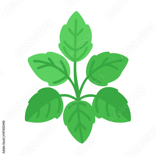 Stylized basil plant vector illustration on black background