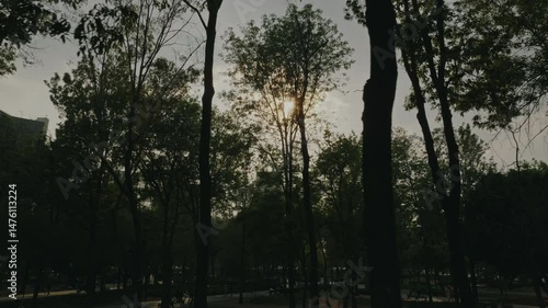 Short aerial shot of palm tree roundabout in Alameda Central