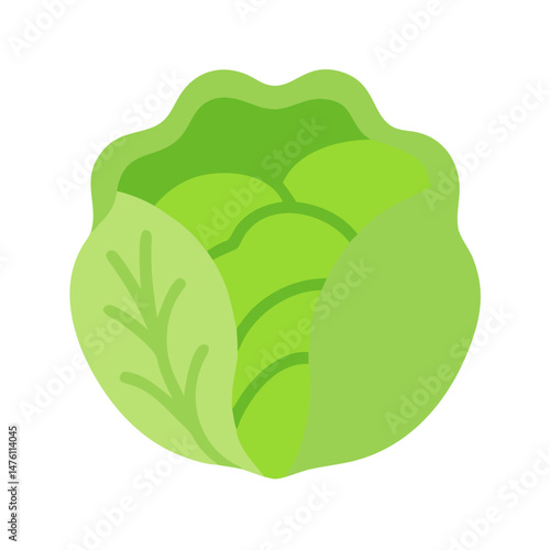 Stylized light green cabbage illustration on a dark background