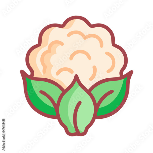 Isolated vector graphic of cauliflower head with green leaves