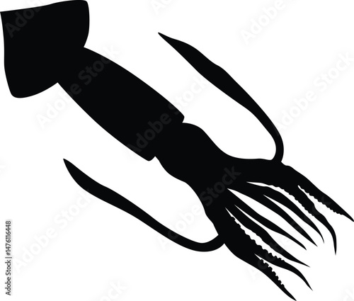 Hand drawn squid silhouette illustration. Ocean animal silhouette.