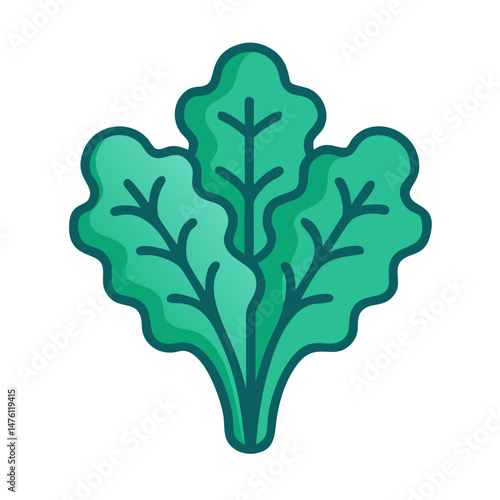 Stylized kale illustration for health and wellness projects