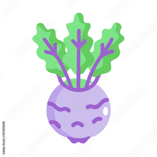 Cartoon kohlrabi icon illustration in minimalist flat design