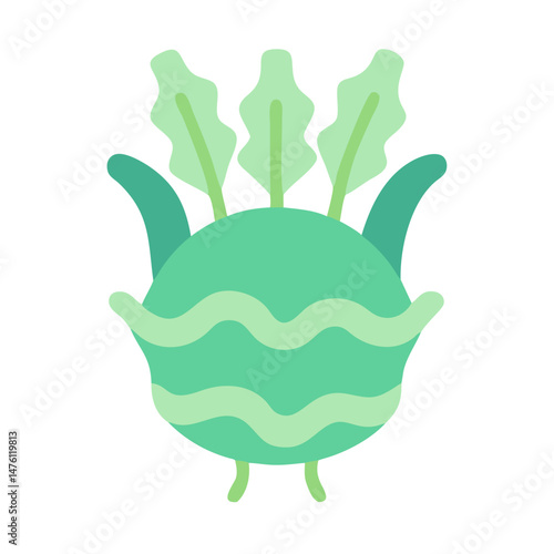 Isolated kohlrabi vegetable graphic on black background illustration
