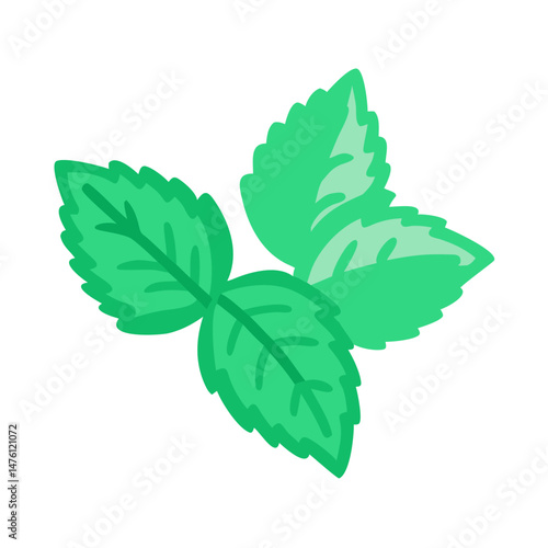 Fresh spearmint leaves on a black background illustration design