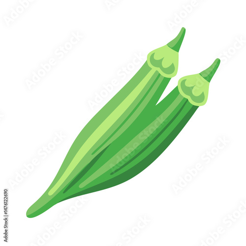 Two fresh okra pods isolated on clean black background
