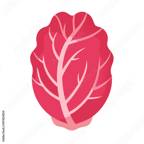 Stylized illustration of a red cabbage against a black background