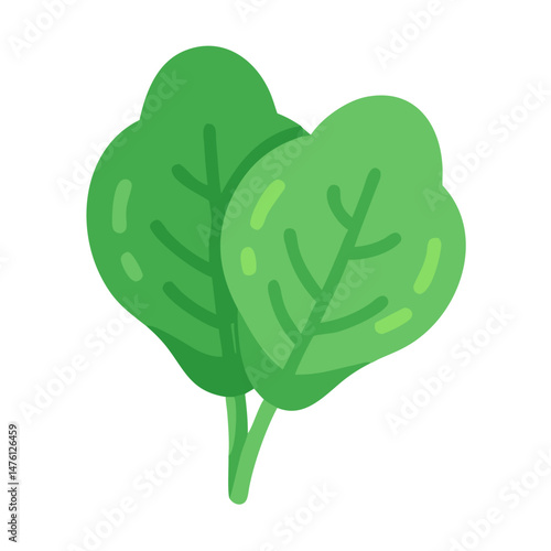 Two green spinach leaves on a black background art