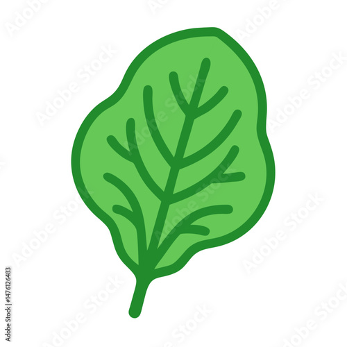 Single green spinach leaf on black background for advertising