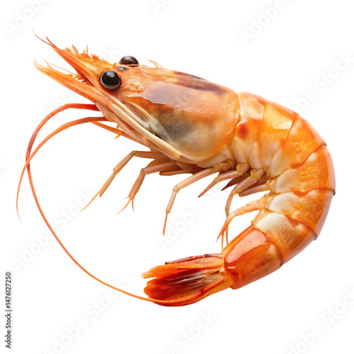 Fresh Cooked Shrimp: Delicious Seafood Image