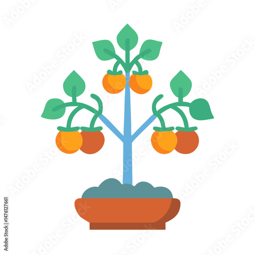 Potted citrus tree with orange fruit against black backdrop