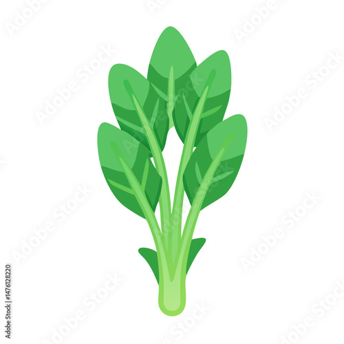 Fresh green spinach leaves on black background, healthy food