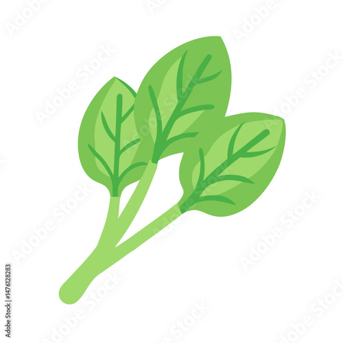 Fresh spinach leaves on a black background, simple illustration