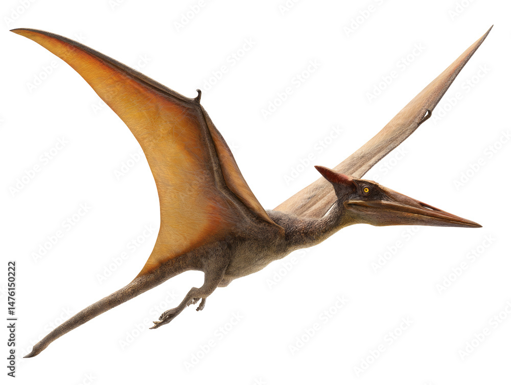 Naklejka premium pterodactyl flying in the air isolated, transparent background 