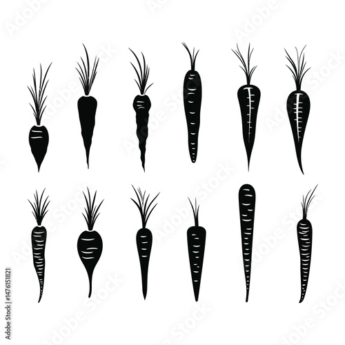 Carrot silhouette set clipart on a white background