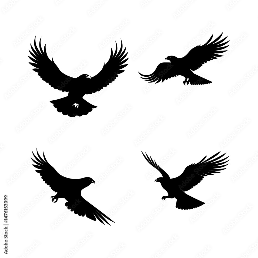 Obraz premium Flying hawk silhouette on white vector set