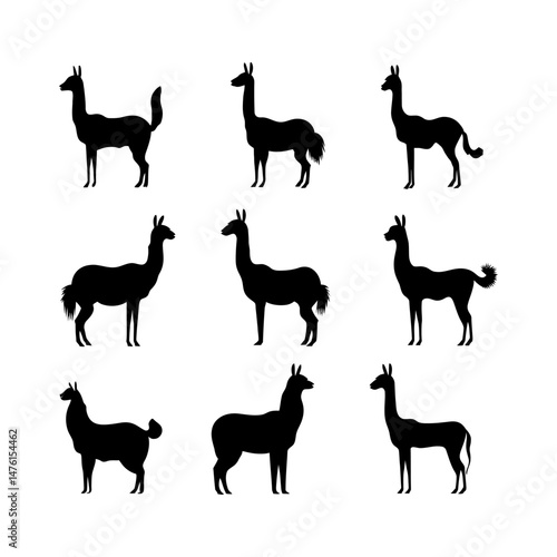 llama silhouette setclipart on a background