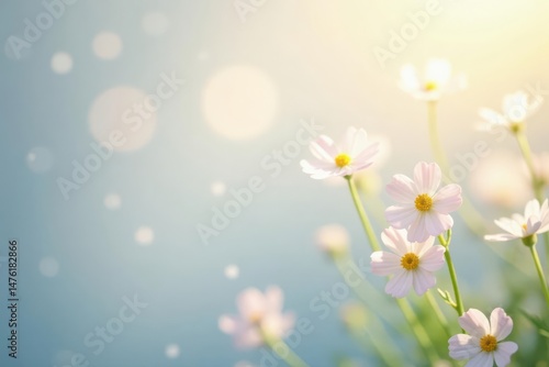 Serene Pastel Blossoms Illuminated by Gentle Sunlight, a Delicate Floral Image Ideal for Backgrounds and Designs