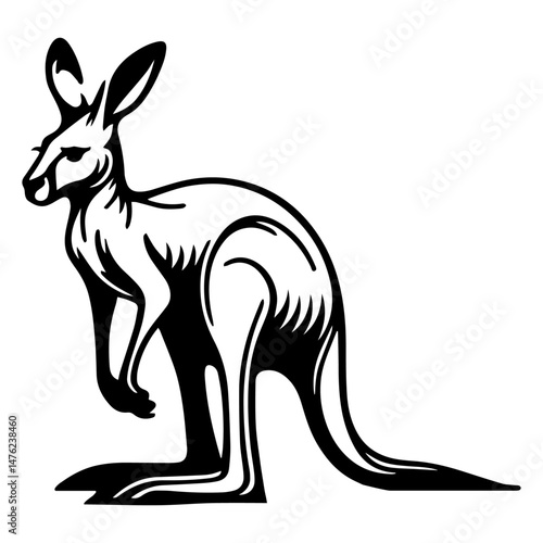 kangaroo vector illustration