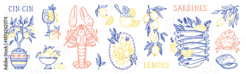 Italian doodle food. Summer sea food. Lemon Italian Amalfi beach sketch. Doodle wine cocktail, lobster, sardines. Vector summer sea beach illustration. Coastal Italy hand drawn vintage seafood icon bg