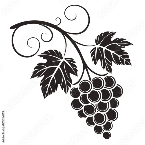 vector illustration of grapes