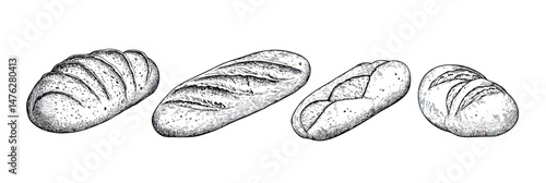 Hand drawn detailed sketch bread loaves set including ciabatta baguette sourdough and buns vintage bakery products vector illustration in monochrome style