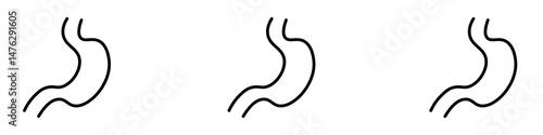 Stomach icons. modern minimalist symbol outline vector flat style