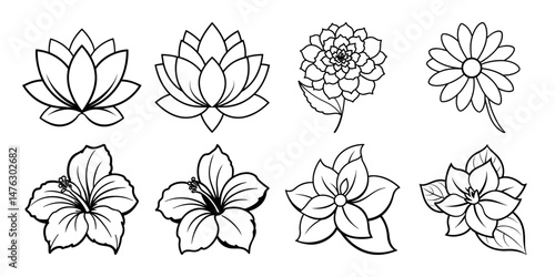 Flower drawing mono line. Daisy,  Lotus,  Marigold, Jasmine, Hibiscus On white background