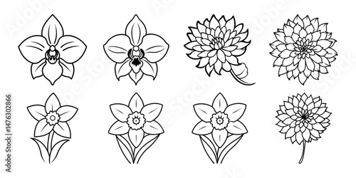 Flower drawing mono line. Hibiscus,  Jasmine,  Orchid, Jasmine, Faffodil, chrysanthemum  On white background