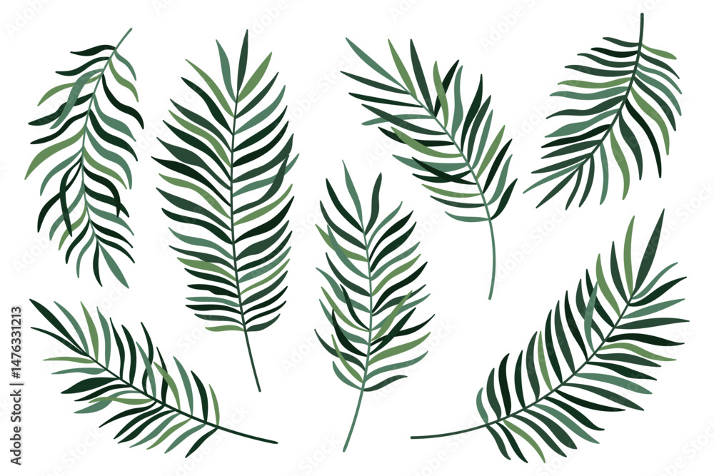 Green palm tree leaf set isolated on white background. Palm or coconut tropical leaves collection Green palm tree leaf set isolated on white background. Palm or coconut tropical leaves collection