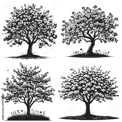 Cherry Tree Silhouette set isolated on white background