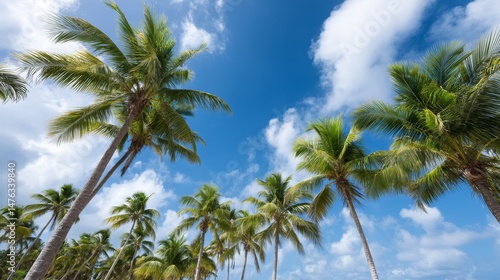 Wallpaper Mural Tall palm trees reach upward against a vibrant blue sky, creating a tranquil tropical atmosphere filled with warmth and sunshine, inviting everyone to relax and unwind Torontodigital.ca